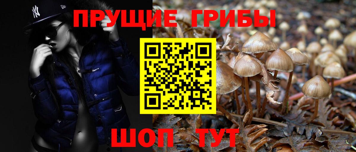 Псилоцибиновые грибы MAGIC MUSHROOMS  Вход с VPN  купить закладку  Галлюциногенные грибы мухоморы  Лесозаводск 